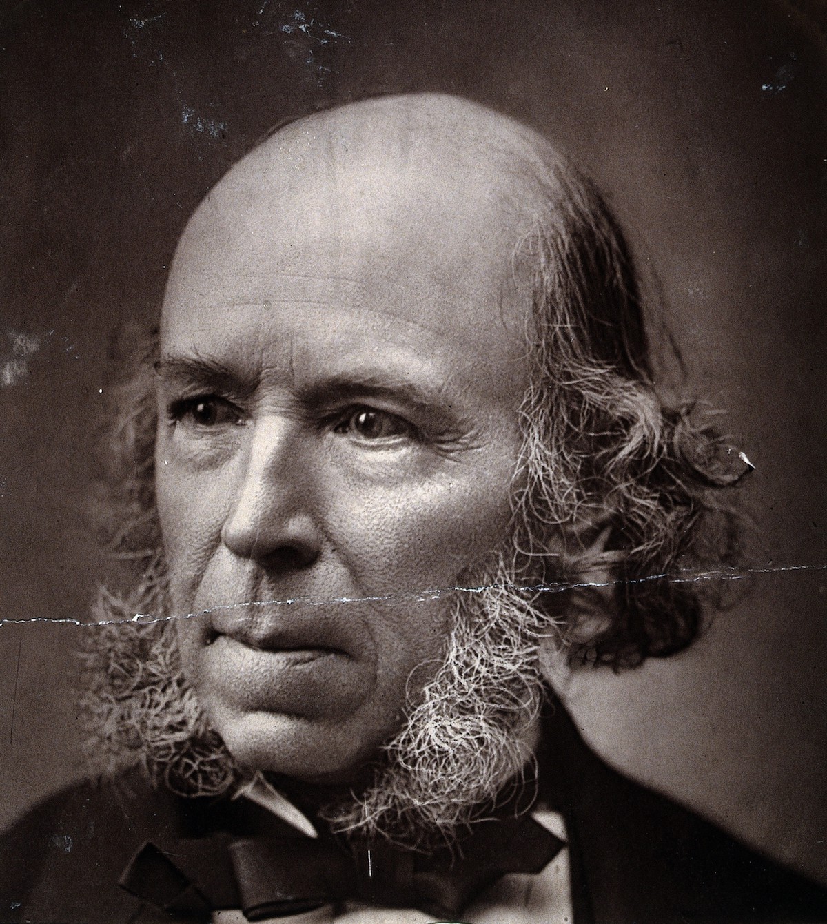 Herbert Spencer nel 1889